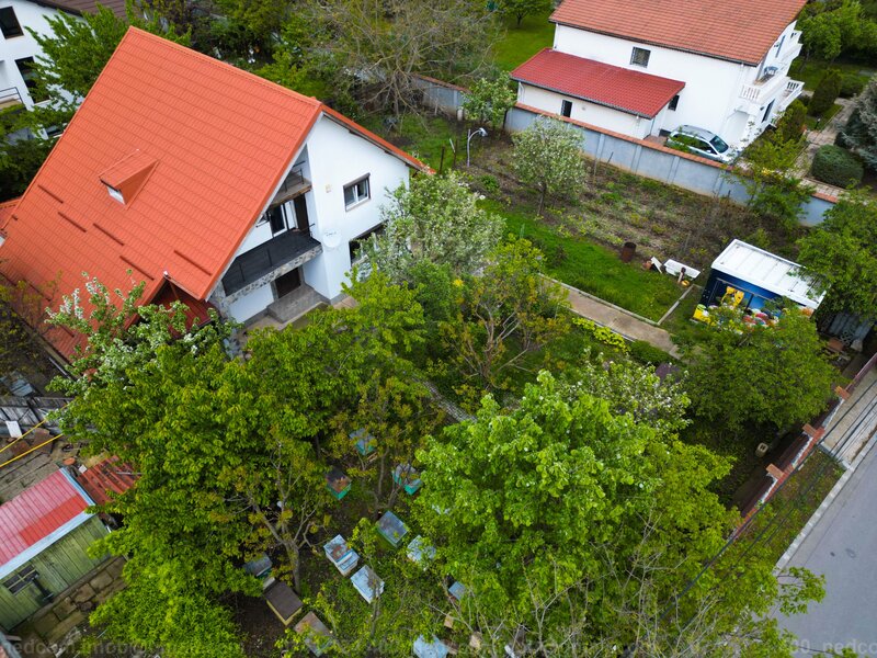 Mogosoaia, vanzare vila,
